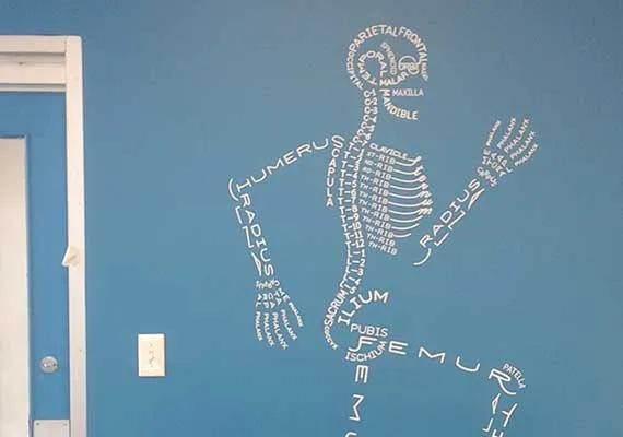 Printed skeleton wall decal on a blue wall