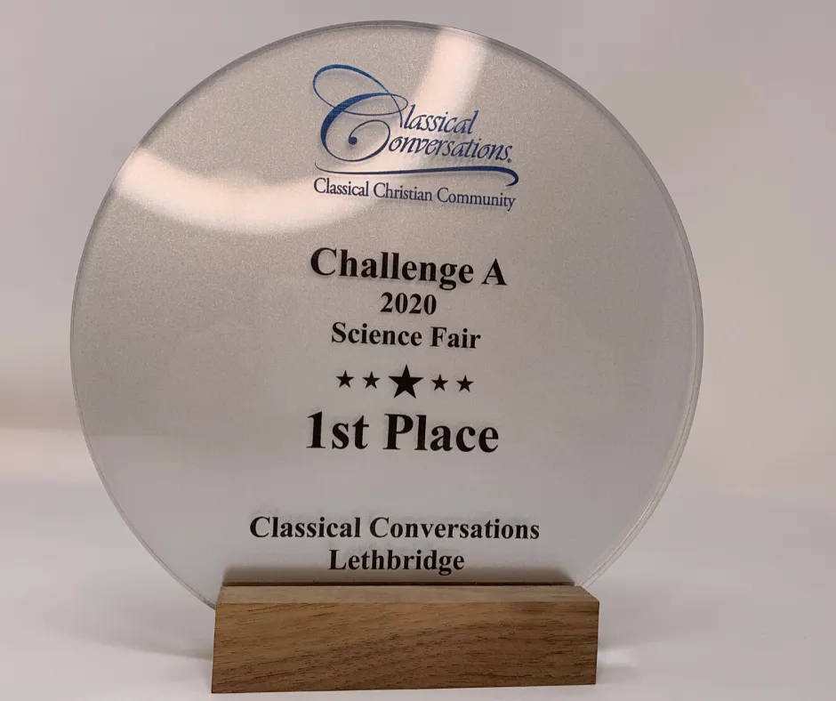 Round acrylic award on a wooden base